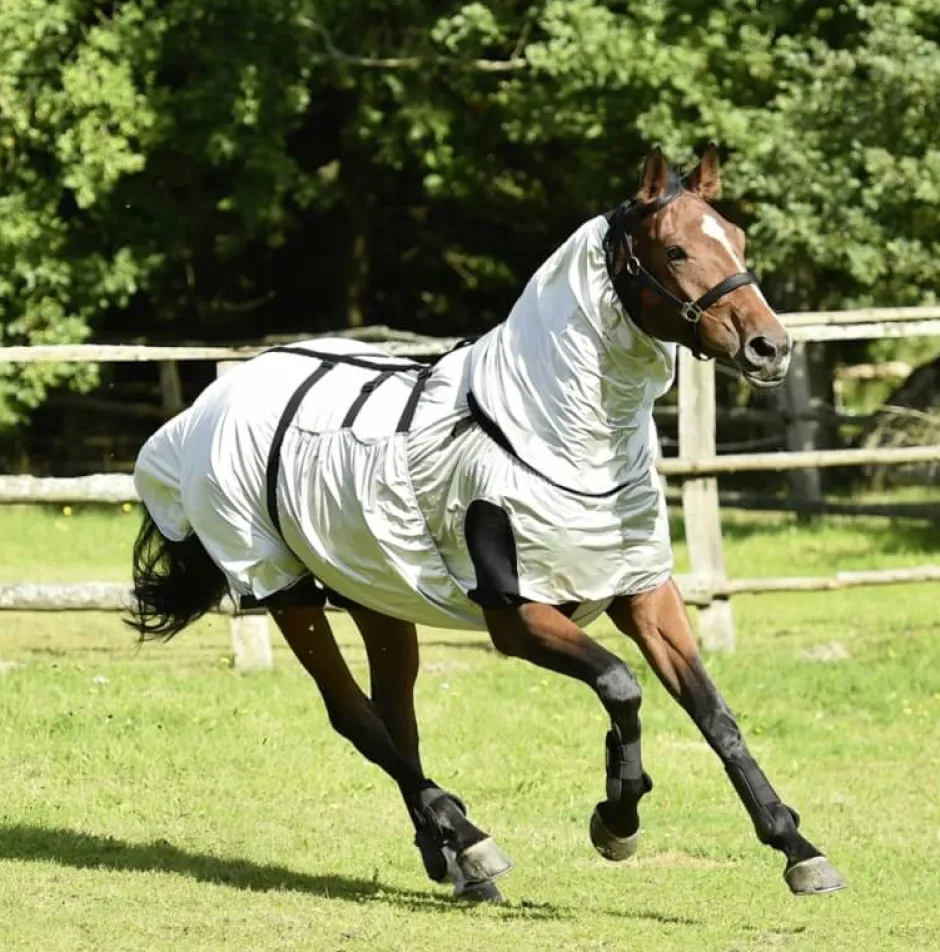 BUSSE Ekzemerdecke STRONG