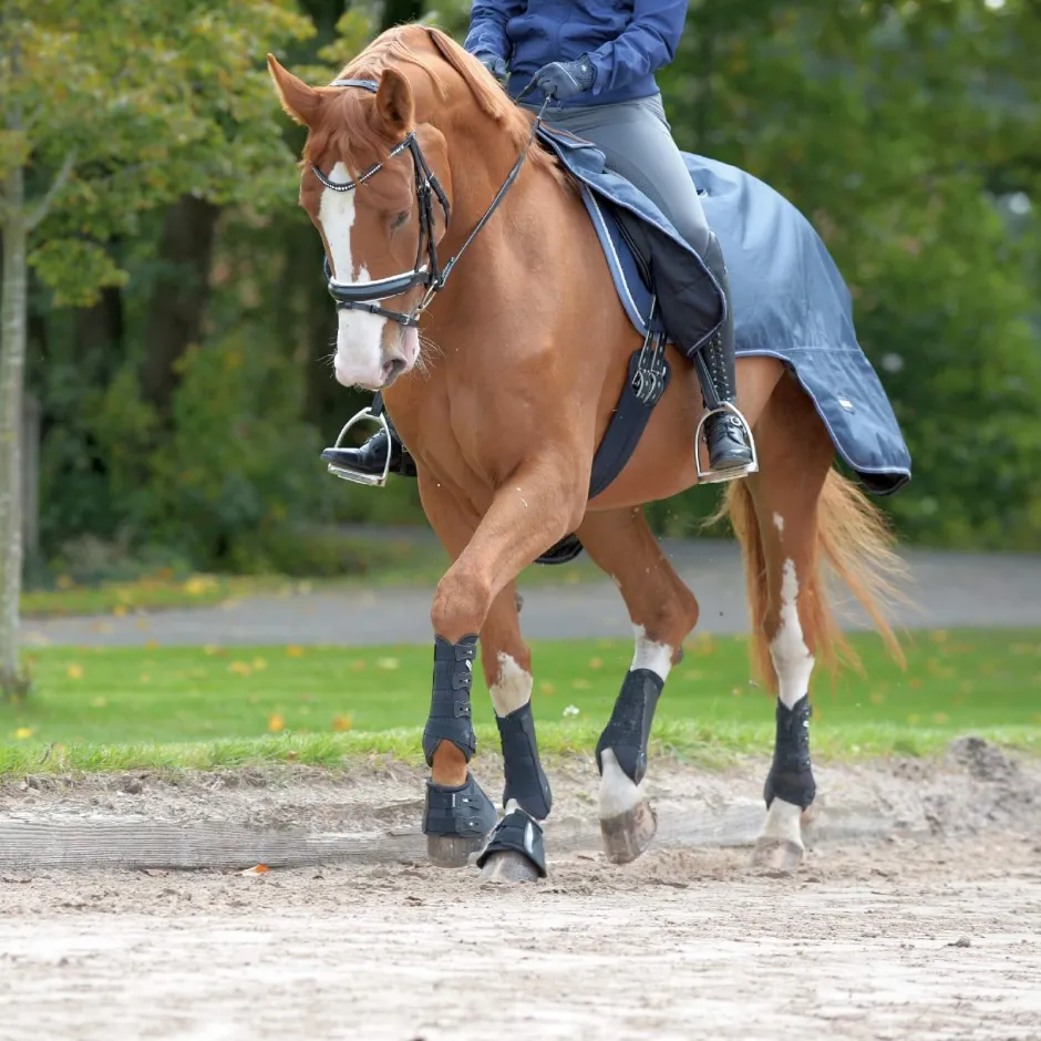 BUSSE Gamaschen DRESSAGE-PRO