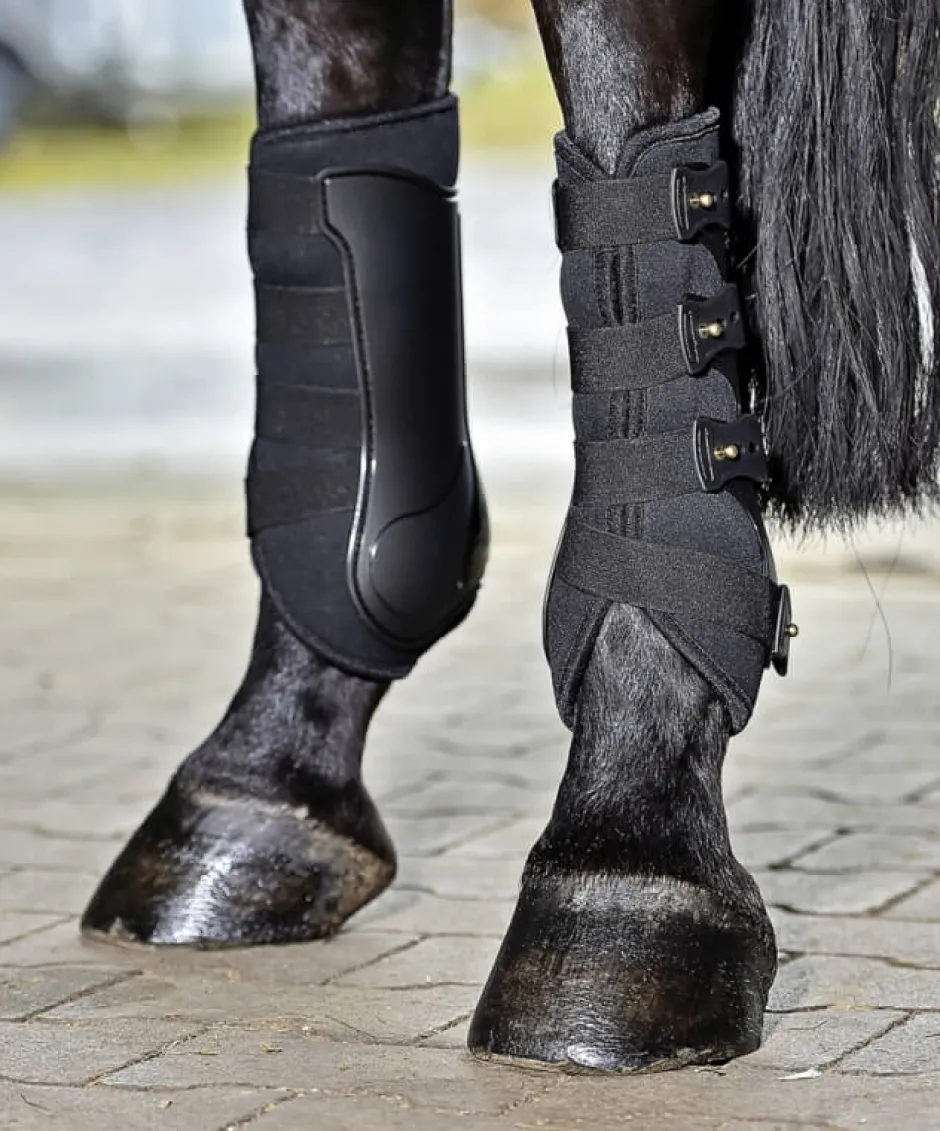 BUSSE Gamaschen DRESSAGE-PRO