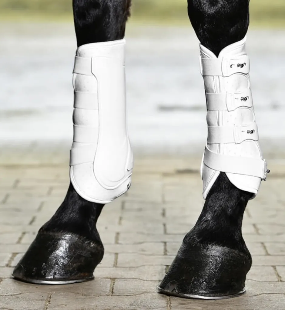 BUSSE Gamaschen DRESSAGE-PRO