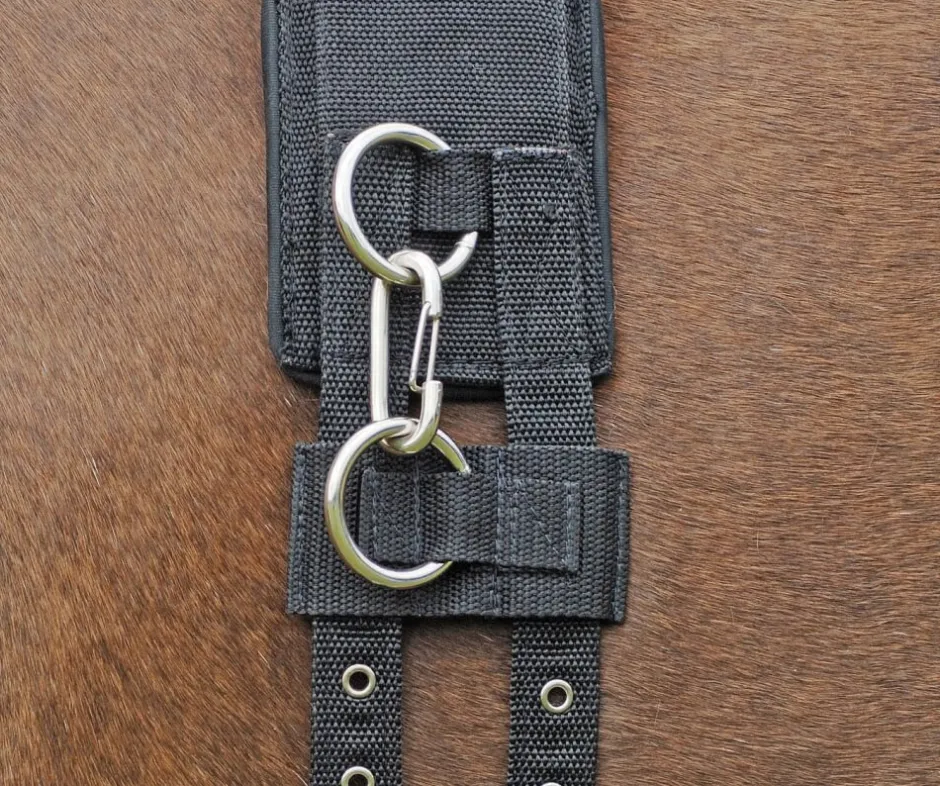 BUSSE Longiergurt PROFI-SOFT