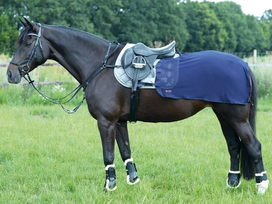 BUSSE Trainingsdecke FLY