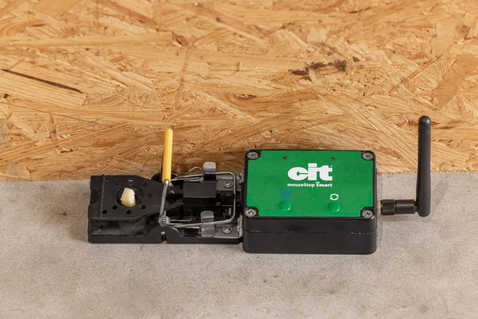 cit mouseStop Smart