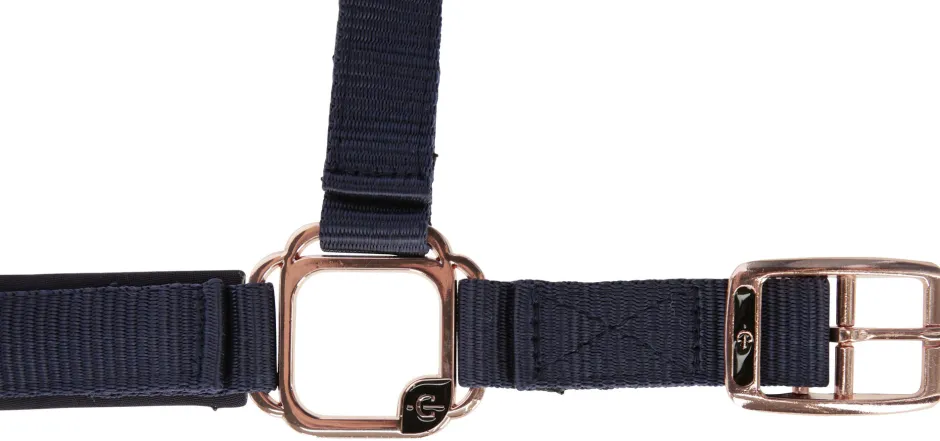 COVALLIERO Halfter Classy