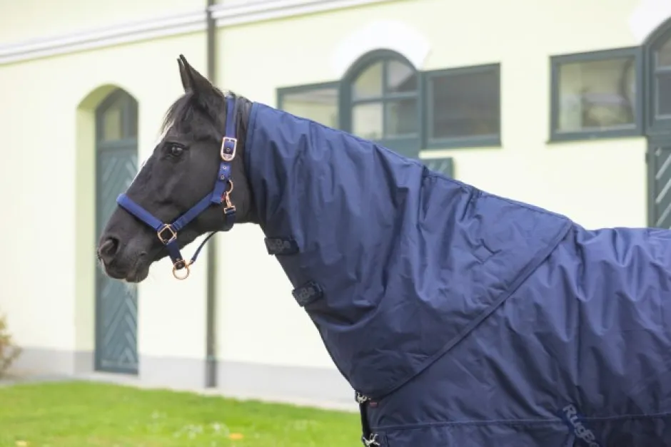 COVALLIERO Halsteil RugBe IceProtect 200