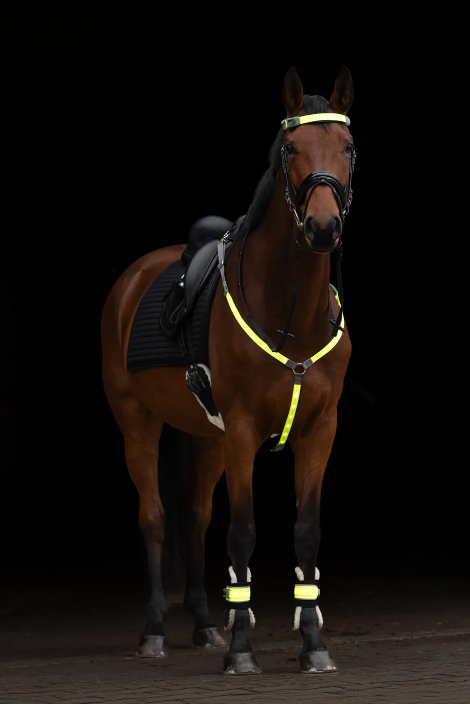 COVALLIERO Stirnriemen LED