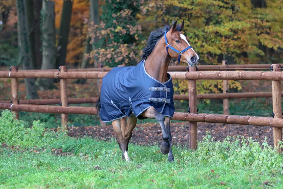 COVALLIERO Winterdecke RugBe IceProtect 300