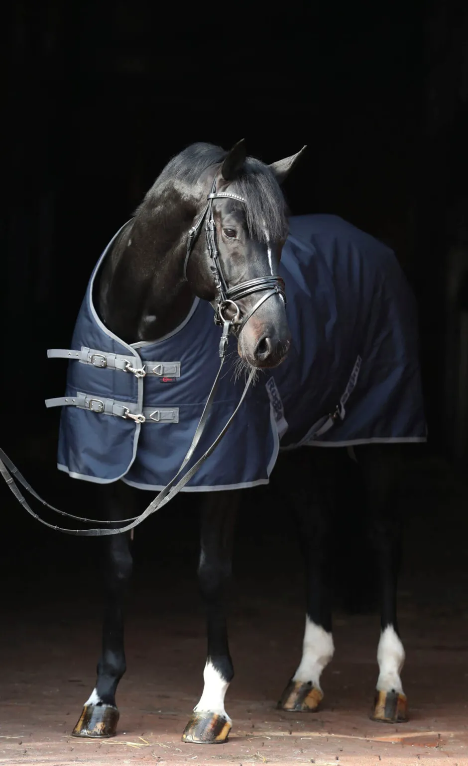 COVALLIERO Winterdecke RugBe IceProtect 300