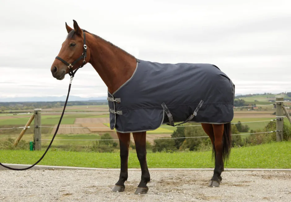 COVALLIERO Winterdecke RugBe IceProtect 300