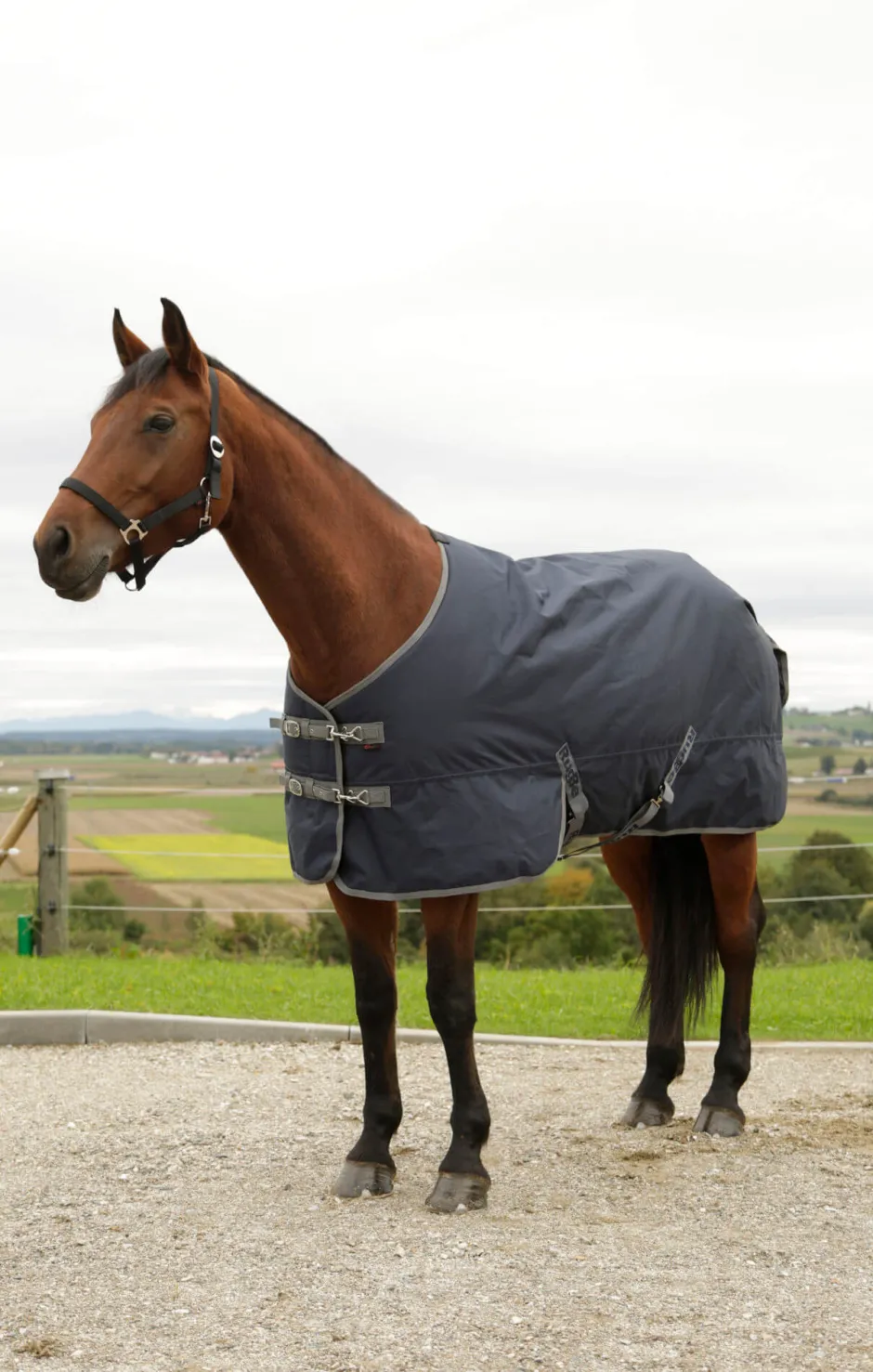 COVALLIERO Winterdecke RugBe IceProtect 300