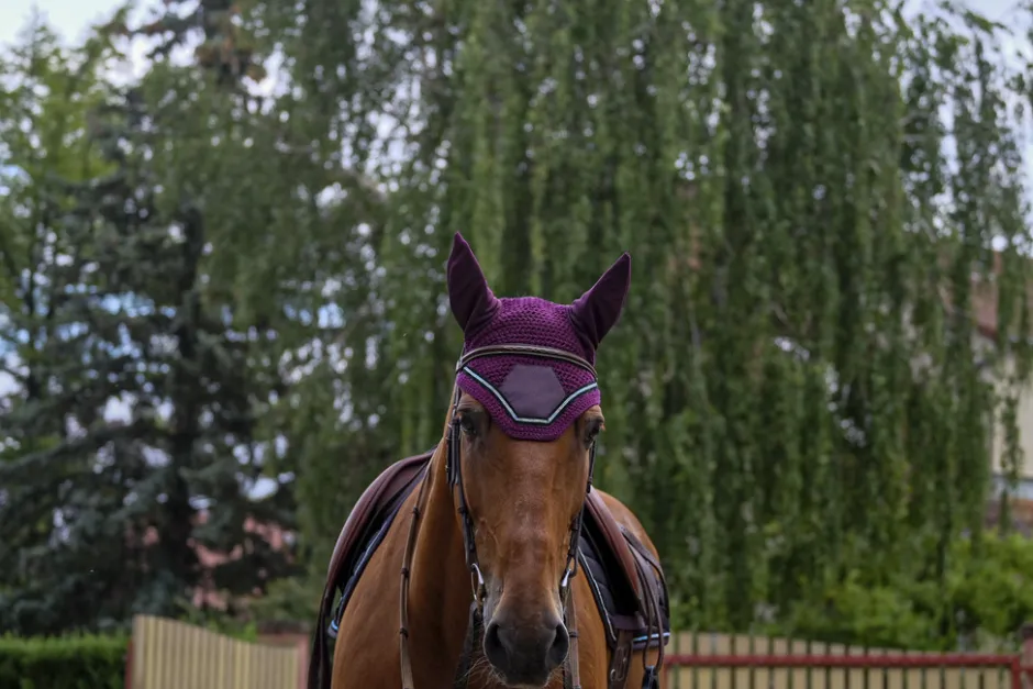 EQUITHEME Domino Fliegenohrehauben