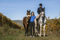 EQUITHEME Elodie Polo mit kurzen Ärmeln
