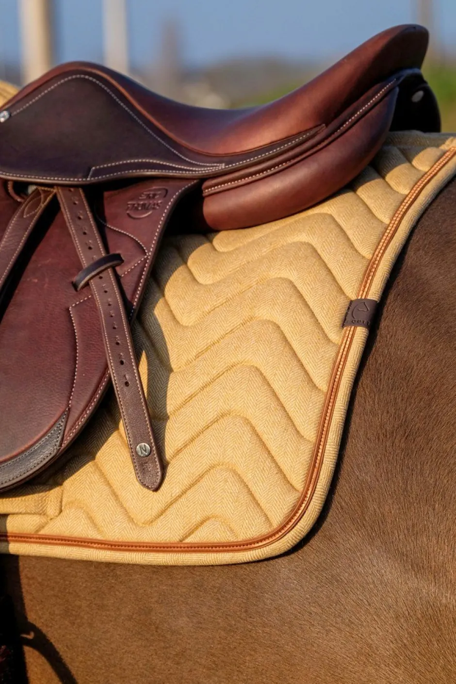EQUITHÈME Chevron Schabrake