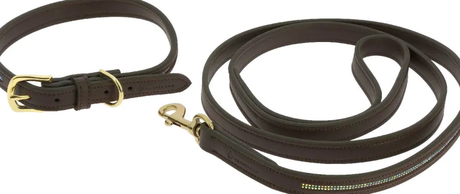 EQUITHÈME - Max - Hundehalsband und Leine
