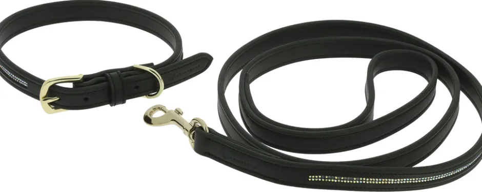 EQUITHÈME - Max - Hundehalsband und Leine