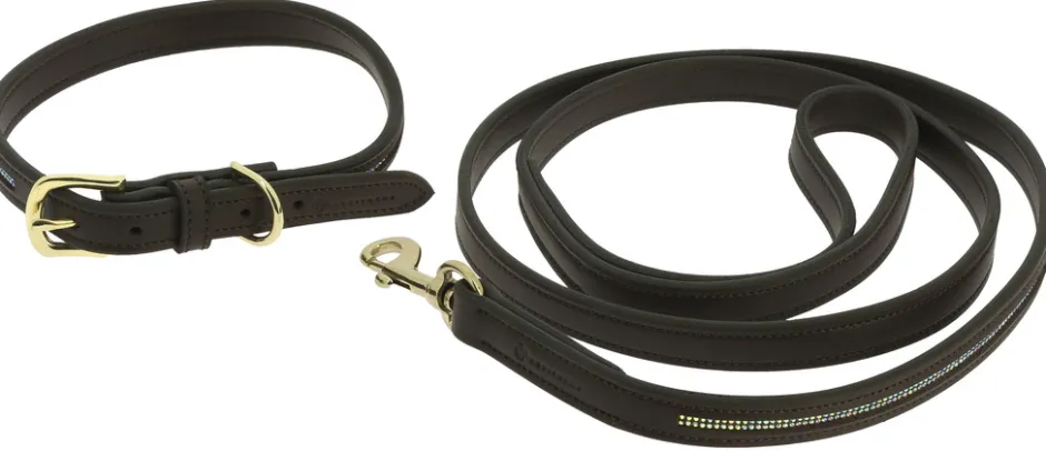 EQUITHÈME - Max - Hundehalsband und Leine