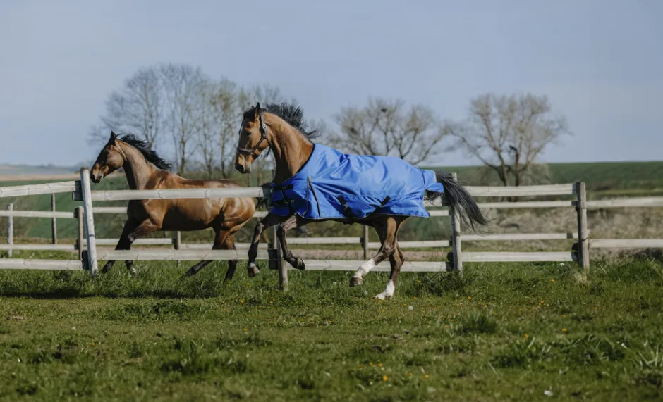 EQUITHÈME - TYREX Aisance 1200D - Outdoor Decke