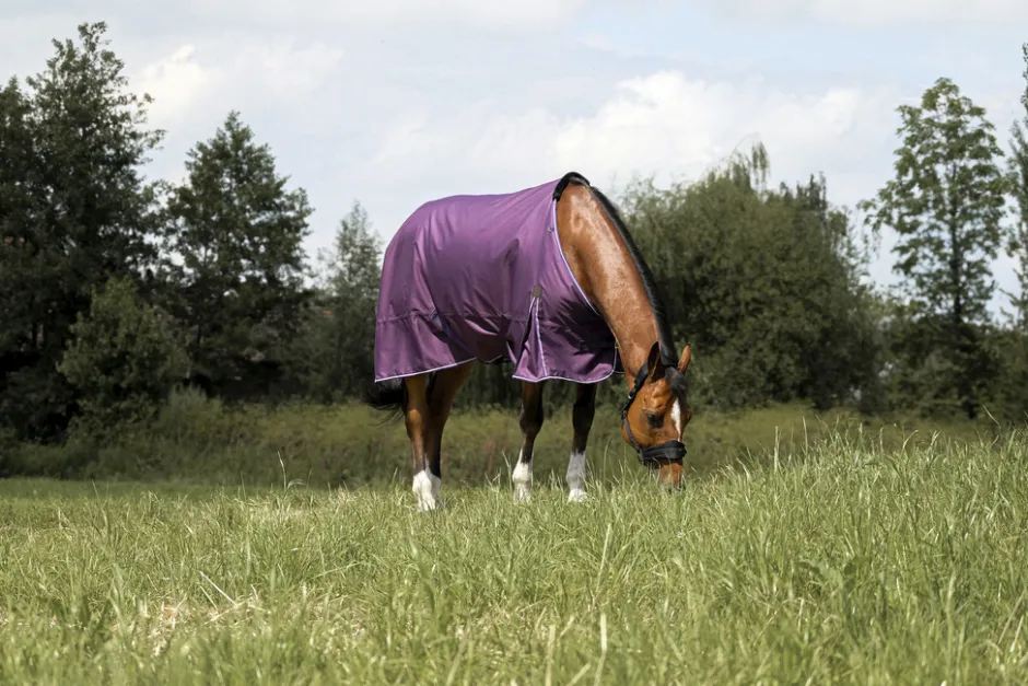 EQUITHÈME - TYREX Aisance 600D - Outdoor Decke