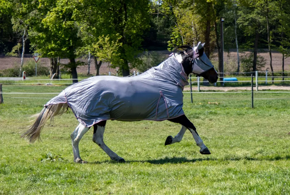 HKM Fliegendecke mit Halsteil -Grey-