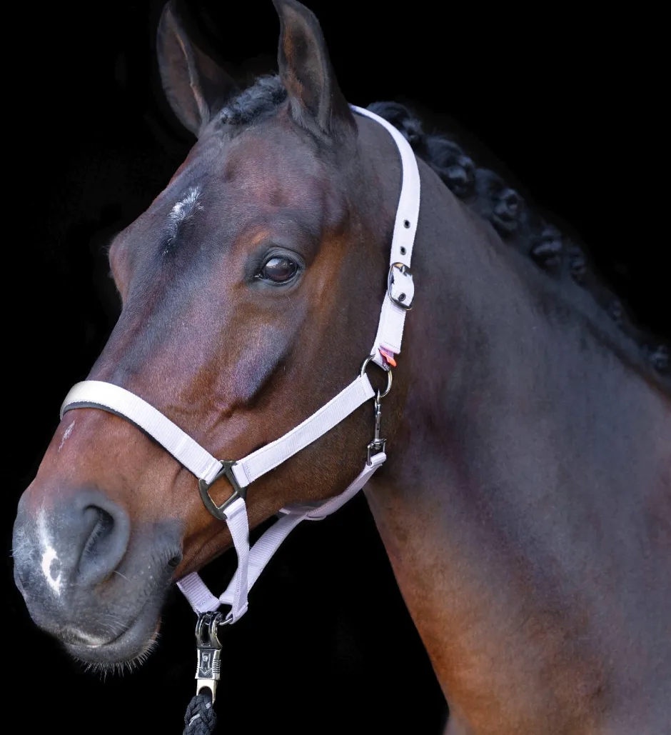 IMPERIAL RIDING Halfter IRHClassic Sport