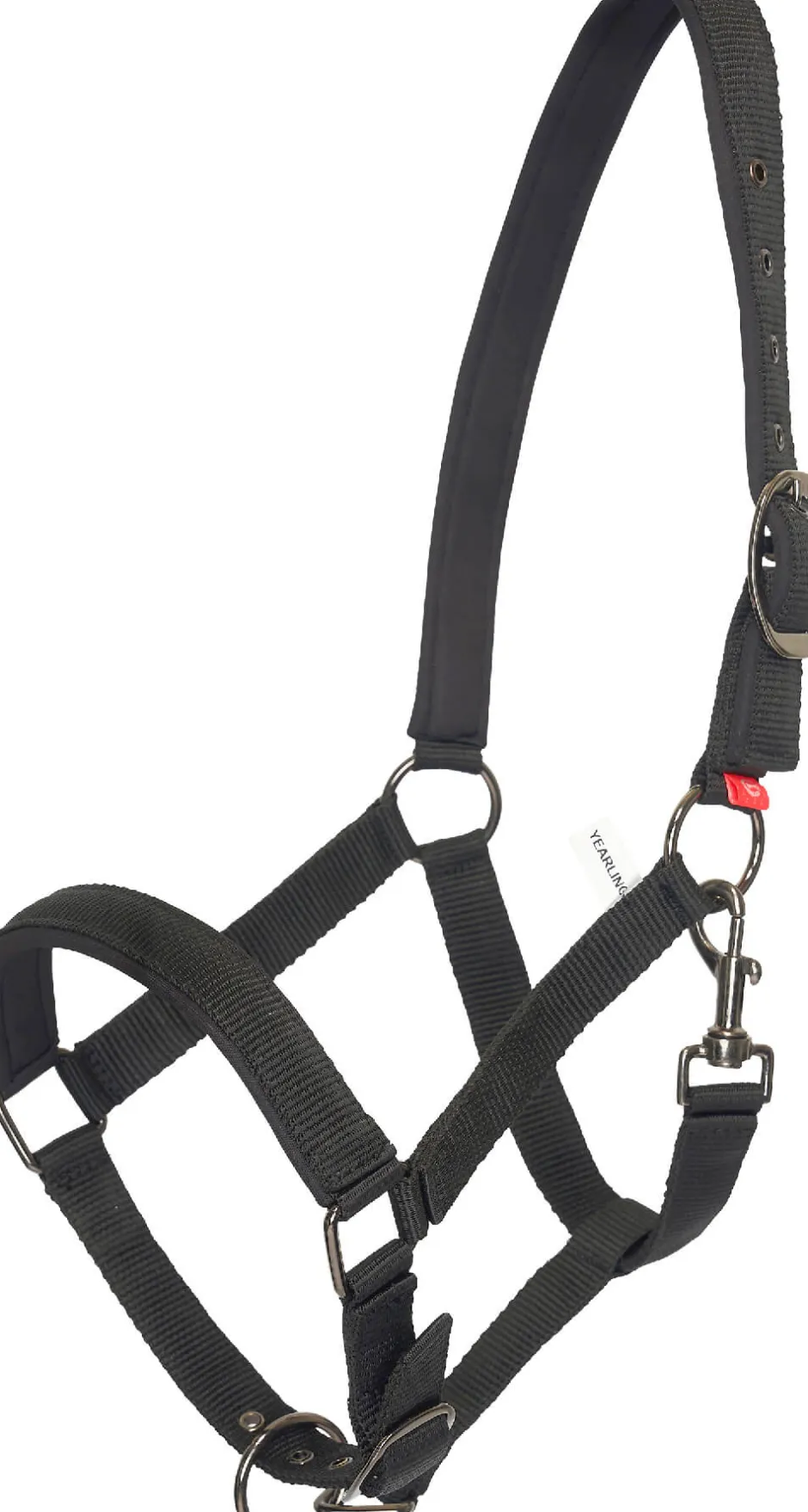 IMPERIAL RIDING Halfter Yearling IRH