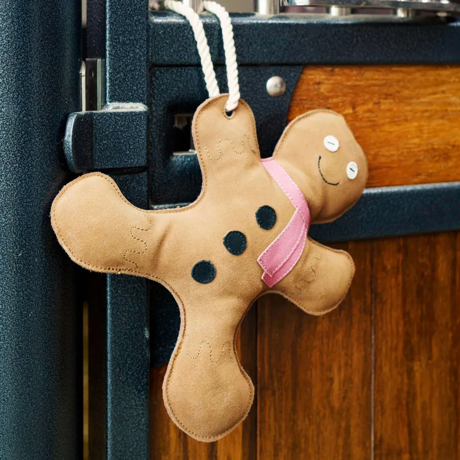 IMPERIAL RIDING IRHStable buddy Gingerbread man