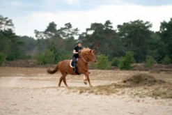IMPERIAL RIDING Knotenhalfter IRHFree Ride