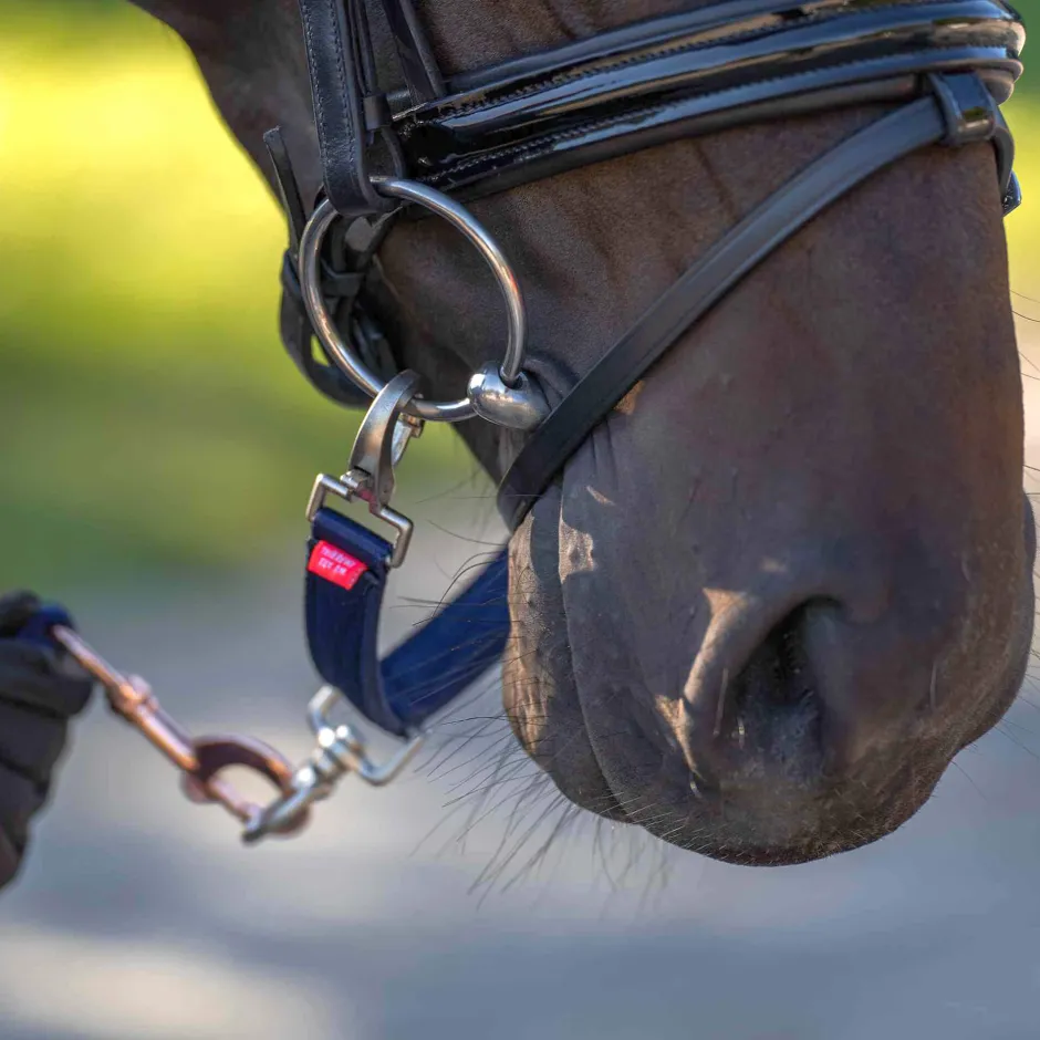 IMPERIAL RIDING Longierbrille IRH