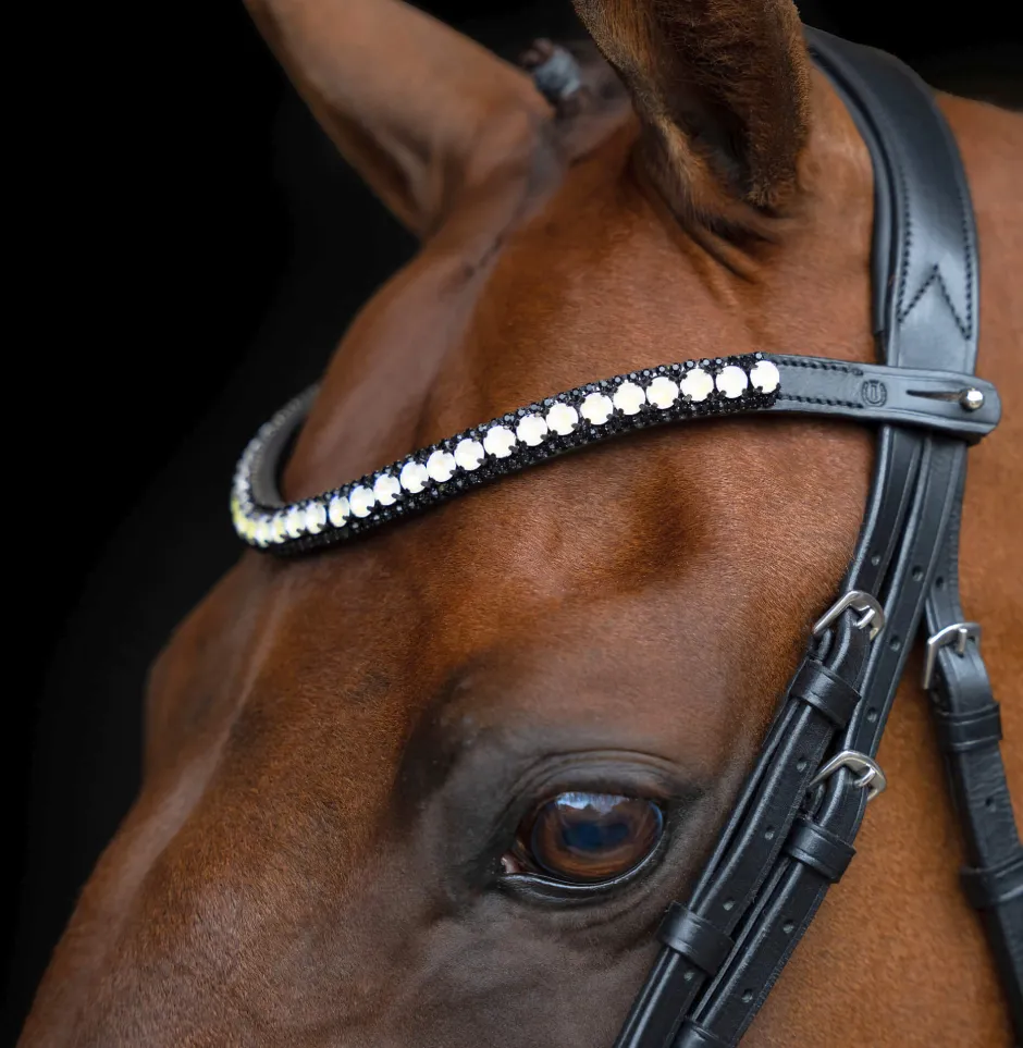 IMPERIAL RIDING Stirnriemen IRHMaxima