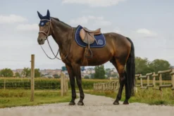 Je taime EQUITHÈME - Compet - Schabracken