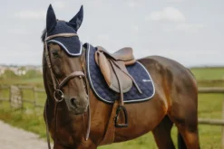 Je taime EQUITHÈME - Mirror - Fliegenhaube