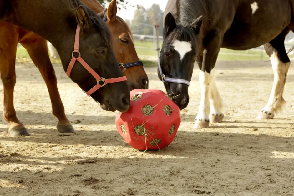 KERBL HeuBoy Futterspielball