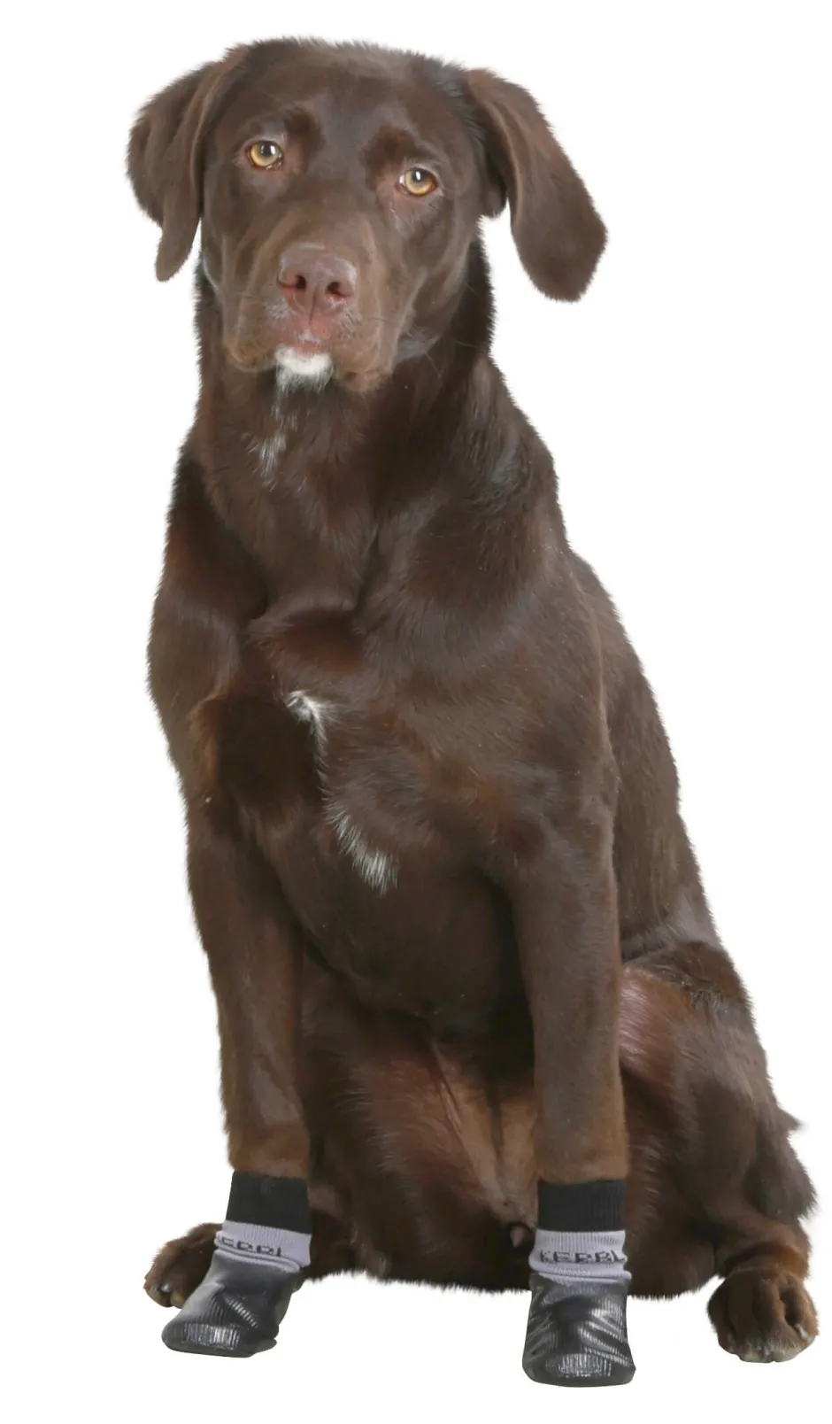 KERBL Hundesocke Susi, 2er-Set