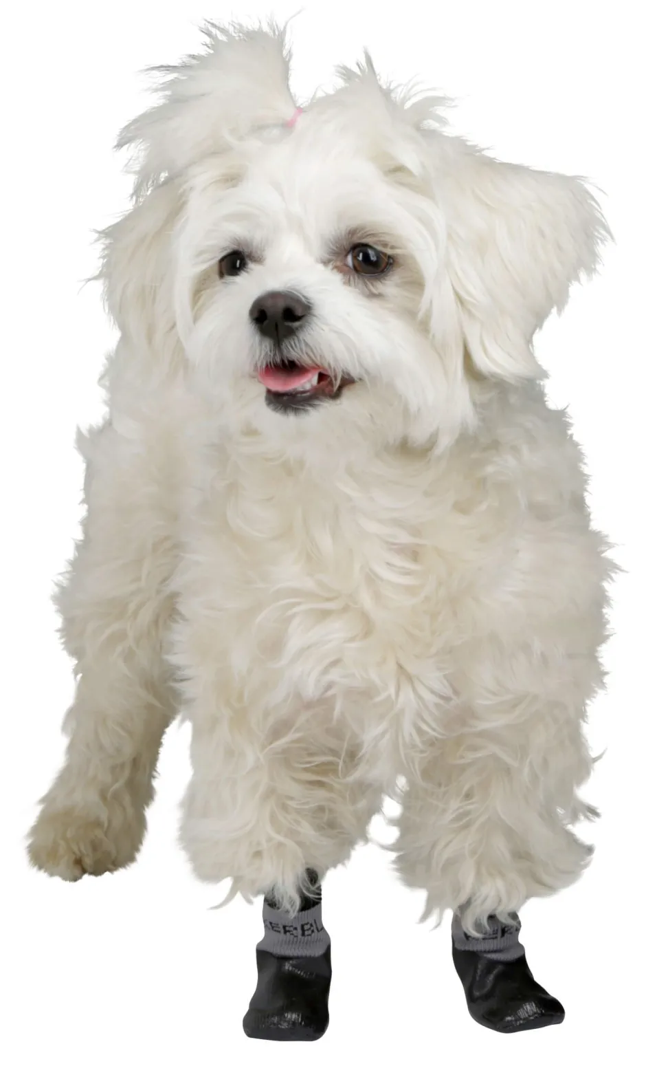 KERBL Hundesocke Susi, 2er-Set