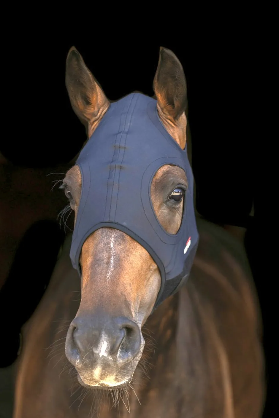 LAMI-CELL Titanium Fliegenhaube