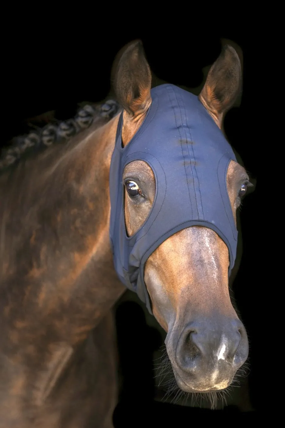 LAMI-CELL Titanium Fliegenhaube