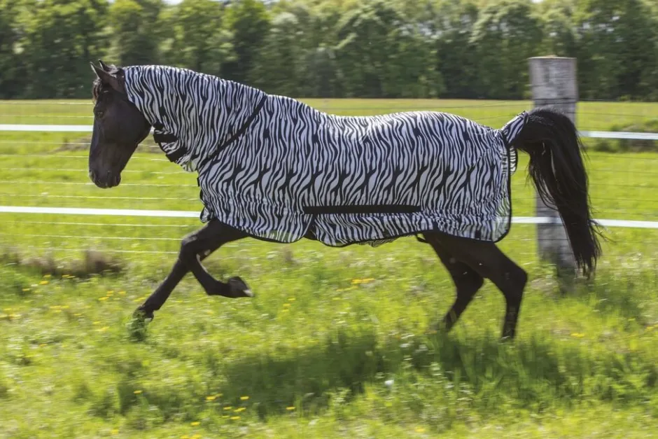 Netzdecke RIDING WORLD Combo