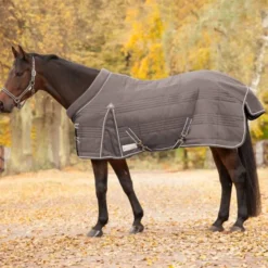 WALDHAUSEN COMFORT Stalldecke, 100 g