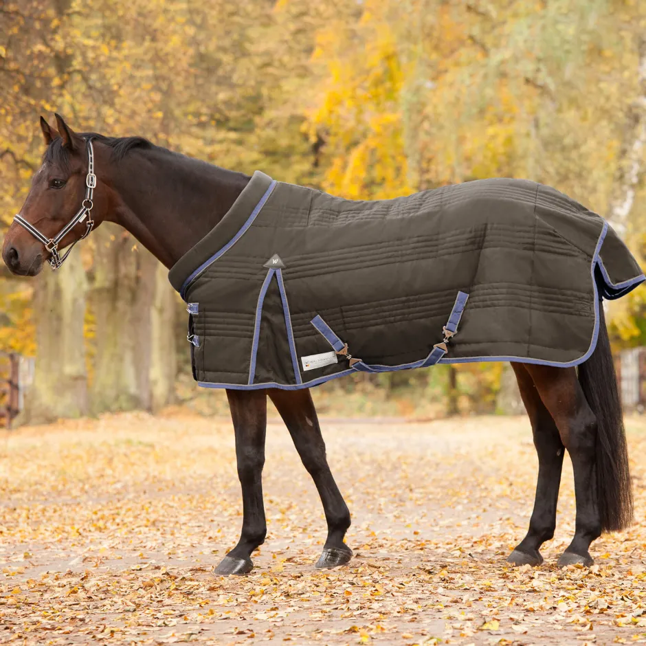 WALDHAUSEN COMFORT Stalldecke, 100 g