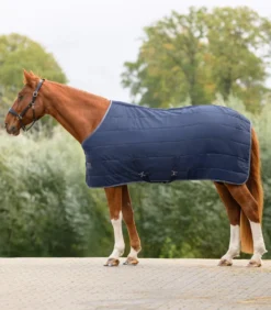 WALDHAUSEN ECONOMIC Stalldecke, 200 g