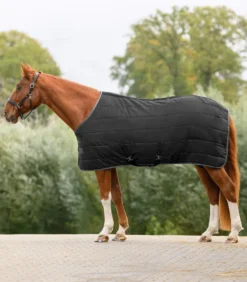 WALDHAUSEN ECONOMIC Stalldecke, 300 g